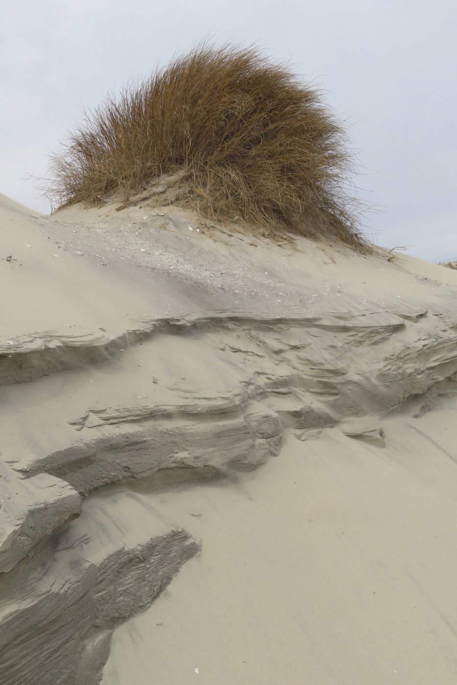 More sand is in sight for a Jersey Shore resort town's deteriorating beaches | iNFOnews.ca