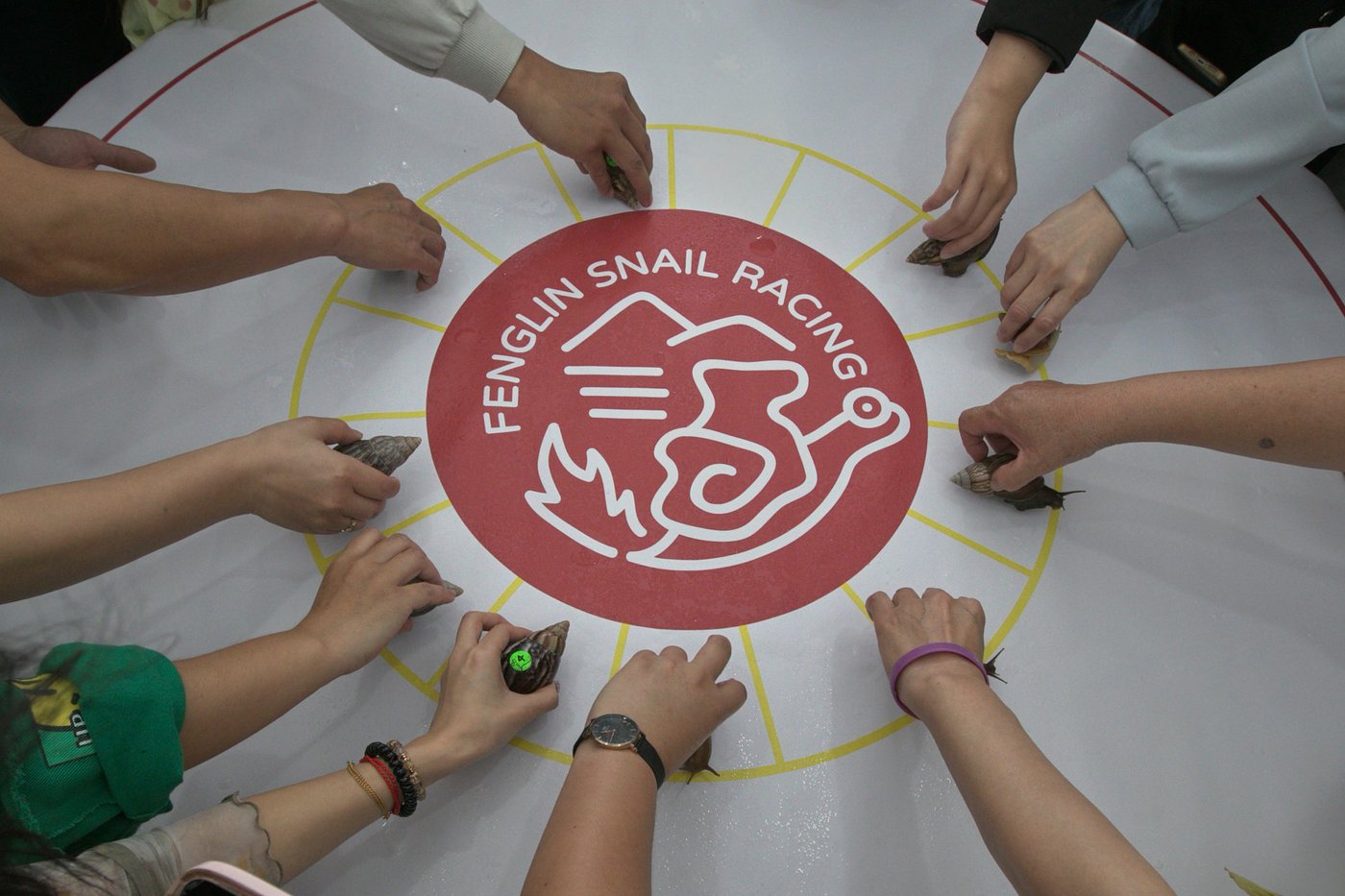 A Taiwanese town embraces a slow pace of life through a snail race | iNFOnews.ca A Taiwanese town embraces a slow pace of life through a snail race | iNFOnews.ca