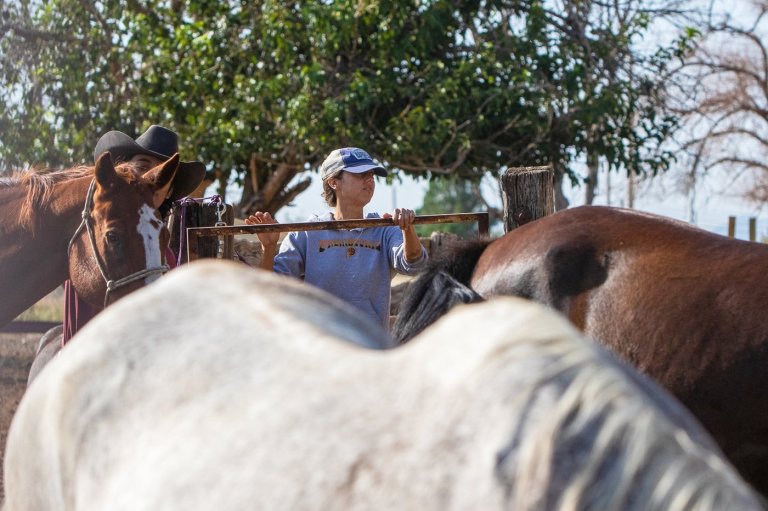 Retired and rescued: Old horses live out their final years at River Thunder Ranch | iNFOnews.ca