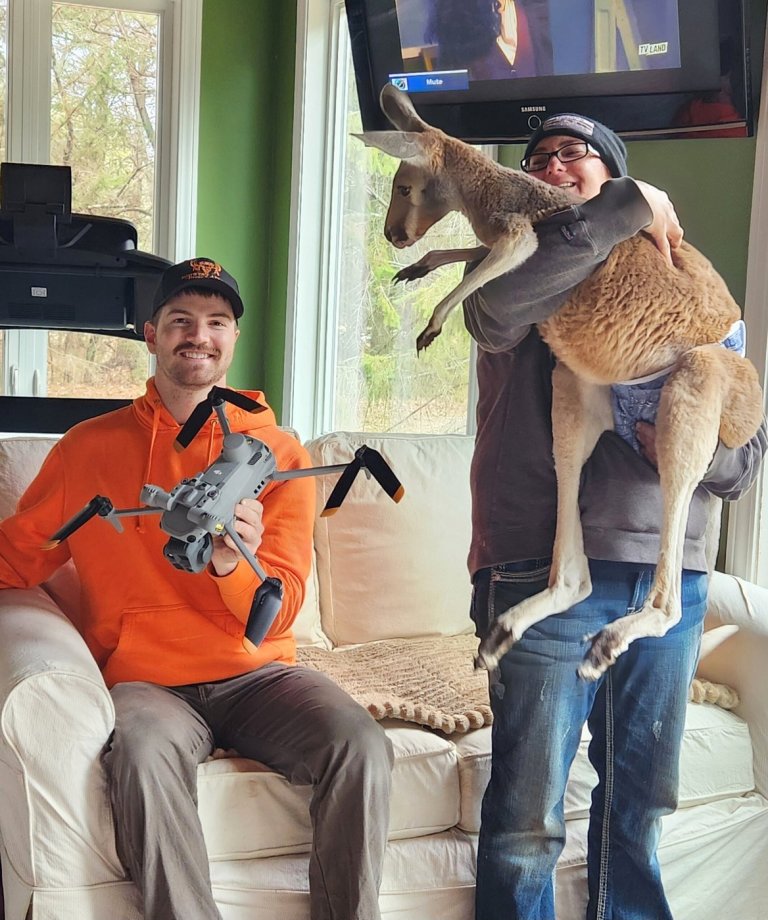 Chesney the kangaroo scales tall fence and flees petting zoo for three days on the lam | iNFOnews.ca