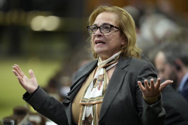 Immigration minister says struggling universities must ask provinces for help | iNFOnews.ca