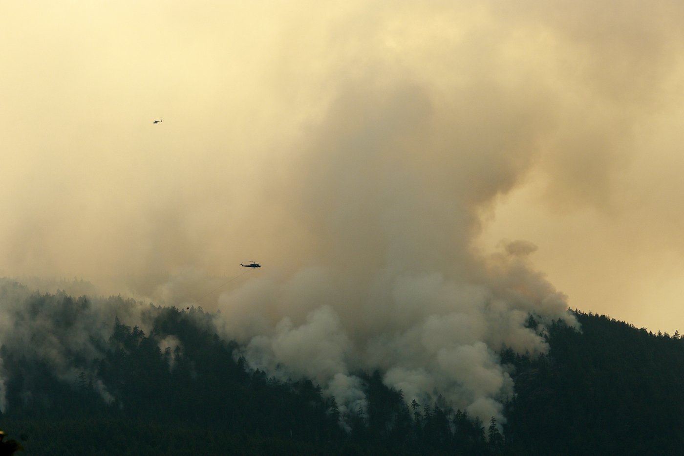 B.C. wildfire season scorched more than 8,800 square kilometres | iNFOnews.ca
