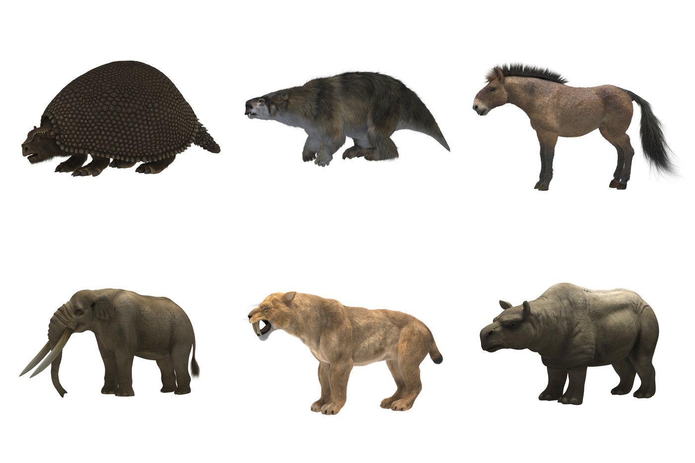 Giant sloths and mastodons coexisted with humans for millennia in Americas, new discoveries suggest | iNFOnews.ca Giant sloths and mastodons coexisted with humans for millennia in Americas, new discoveries suggest | iNFOnews.ca