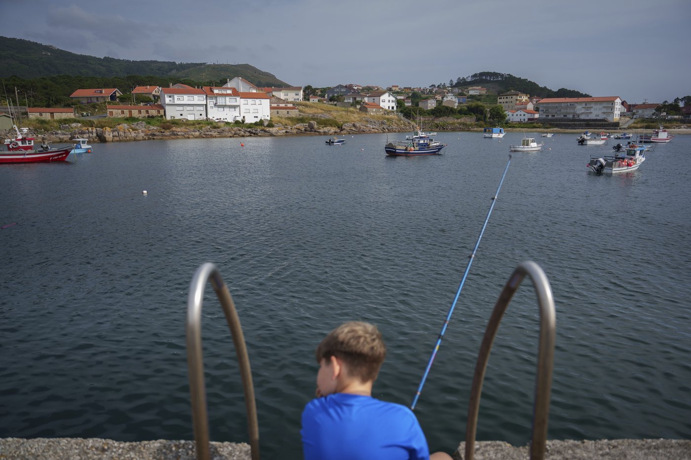 As octopuses dwindle in Spanish waters, suppliers look to imports and farming despite concerns | iNFOnews.ca