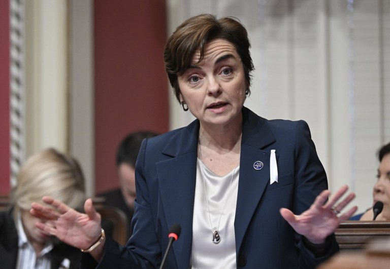 A look at some potential candidates for the Coalition Avenir Québec leadership | iNFOnews.ca