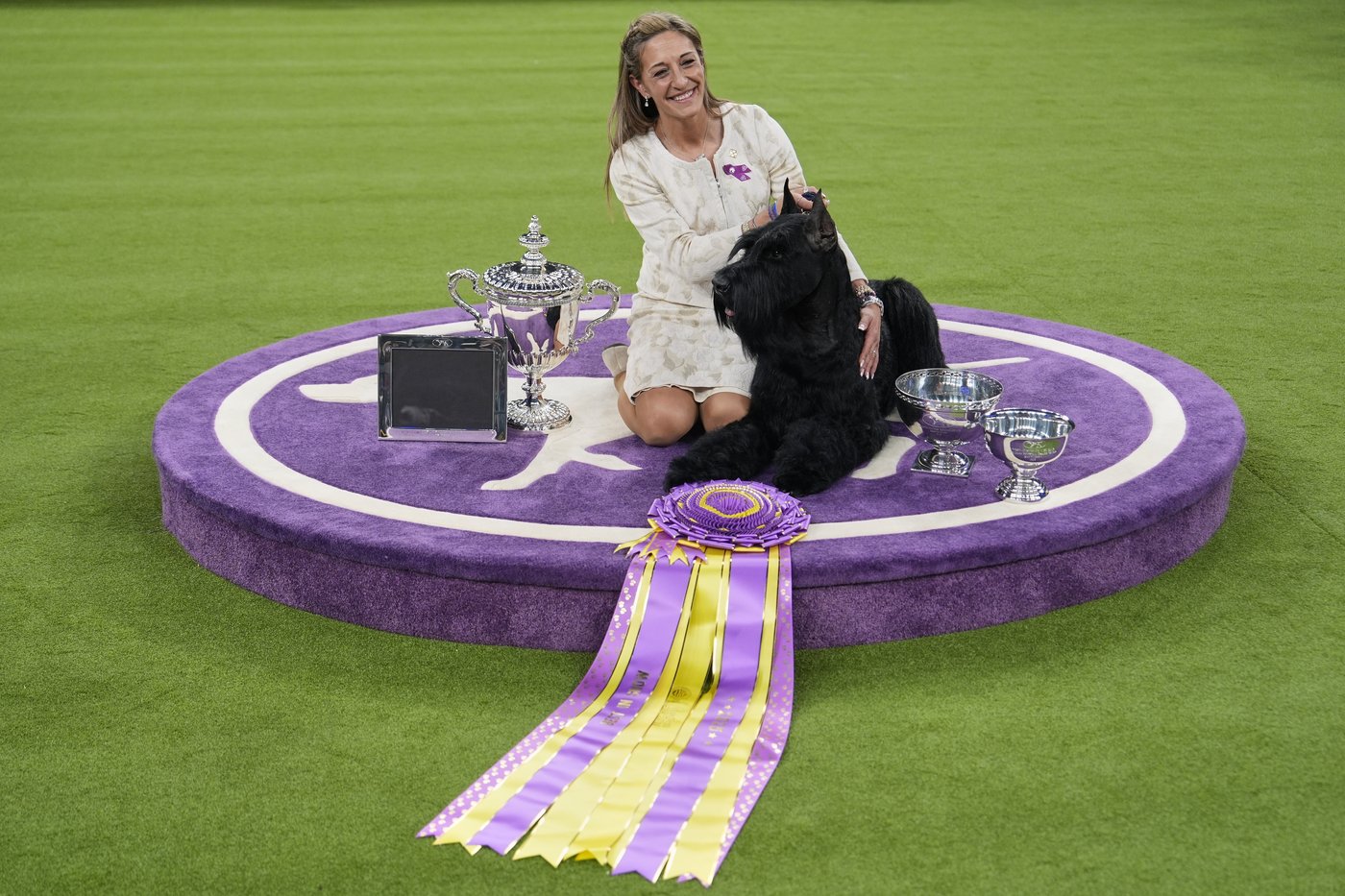 PHOTO COLLECTION: Westminster Dog Show | iNFOnews.ca