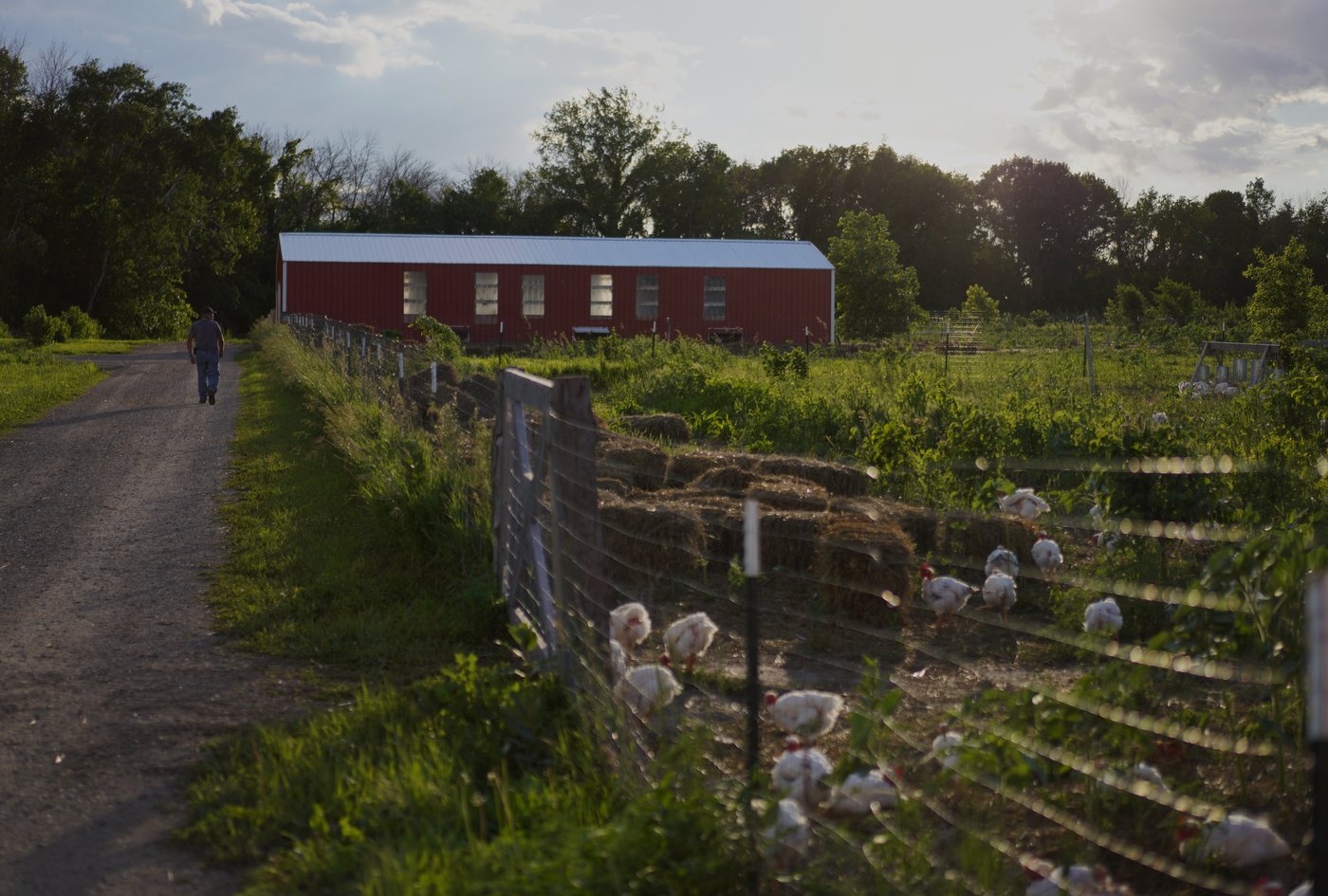 For these Midwest farmers, regenerative agriculture is about more than soil health. It's spiritual | iNwine For these Midwest farmers, regenerative agriculture is about more than soil health. It's spiritual | iNwine