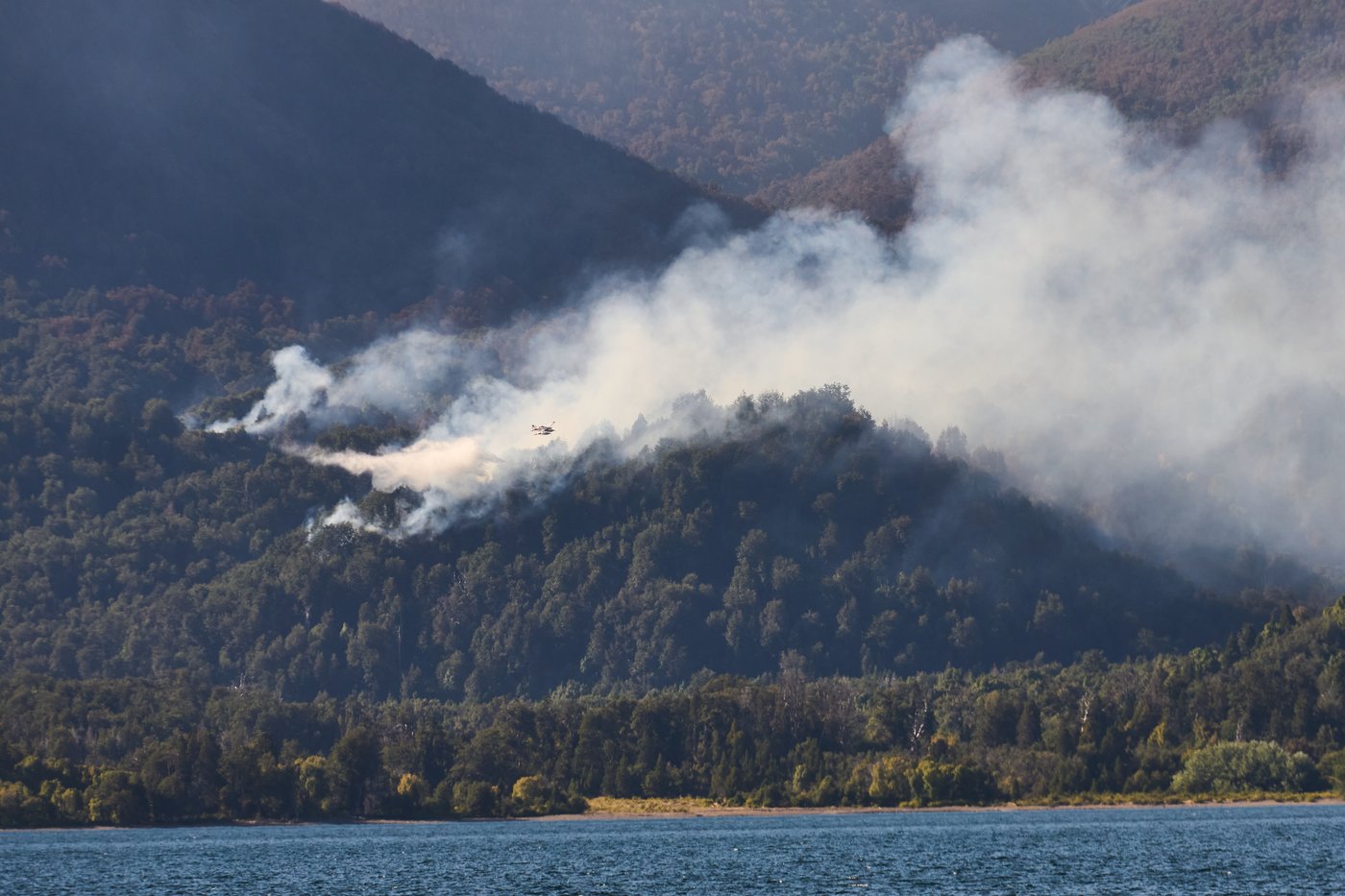 Argentina fires ravage pristine Patagonia forests, fueling criticism of Milei's austerity | iNFOnews.ca Argentina fires ravage pristine Patagonia forests, fueling criticism of Milei's austerity | iNFOnews.ca