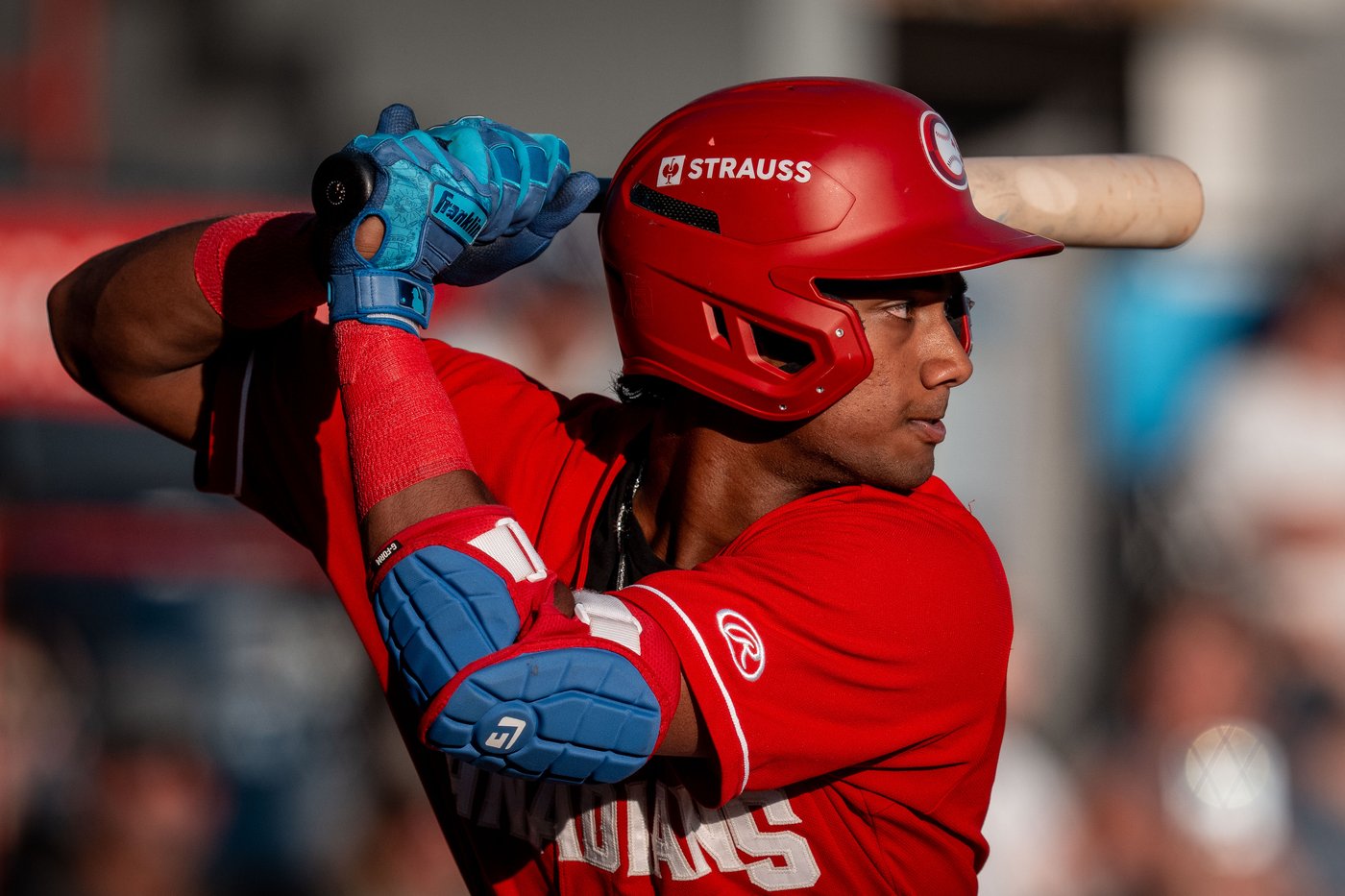 Arjun Nimmala to get big-league reps with Blue Jays during World Baseball Classic | iNFOnews.ca