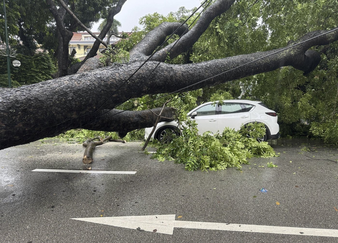 Tropical storm leaves 4 dead in Vietnam and brings heavy rain to the region | iNFOnews.ca Tropical storm leaves 4 dead in Vietnam and brings heavy rain to the region | iNFOnews.ca