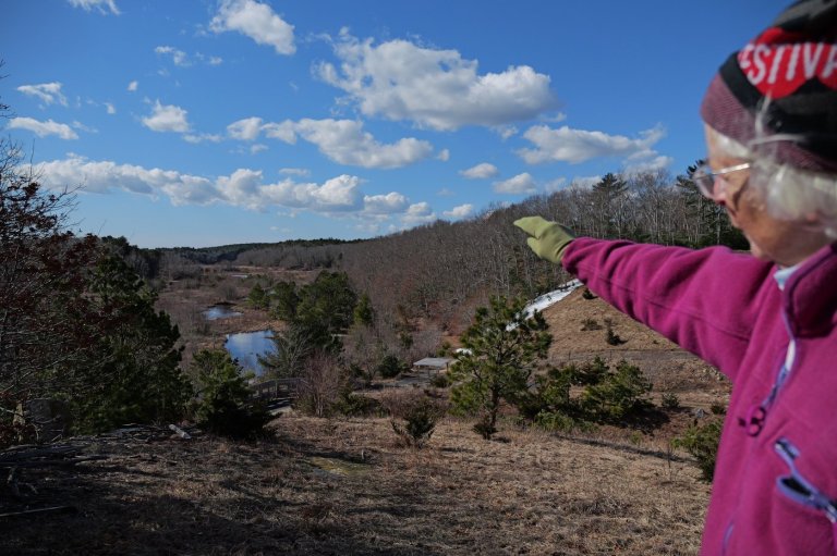 How a retired cranberry bog helped change the game for wetland restoration | iNFOnews.ca