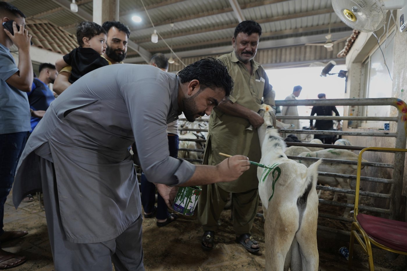 PHOTO COLLECTION: Eid al-Adha | iNFOnews.ca