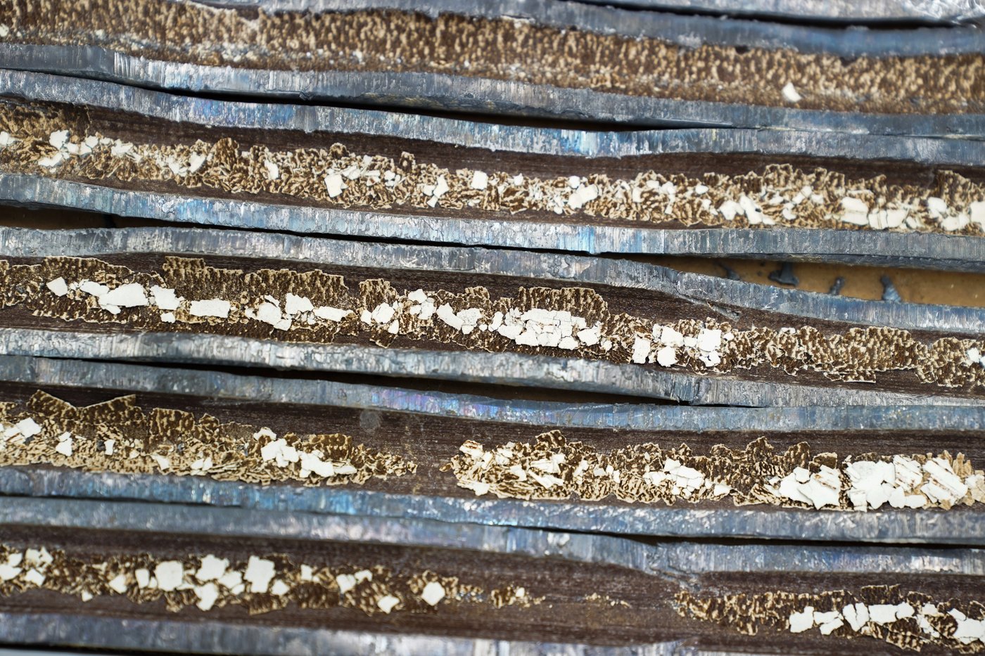 Biden sets a 10-year deadline for US cities to replace lead pipes and make drinking water safer | iNFOnews.ca
