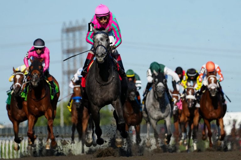 King's Plate champion Luster resumes her 2026 season with race in Kentucky | iNFOnews.ca