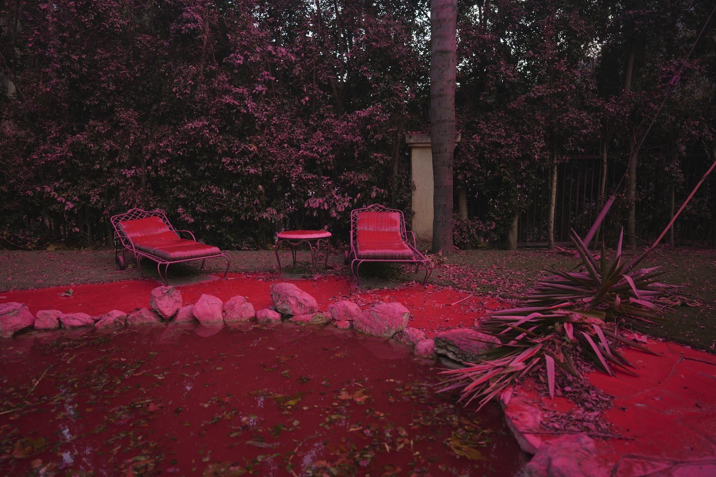 Pink flame retardants are being used to slow California fires. What do we know about them? | iNFOnews.ca