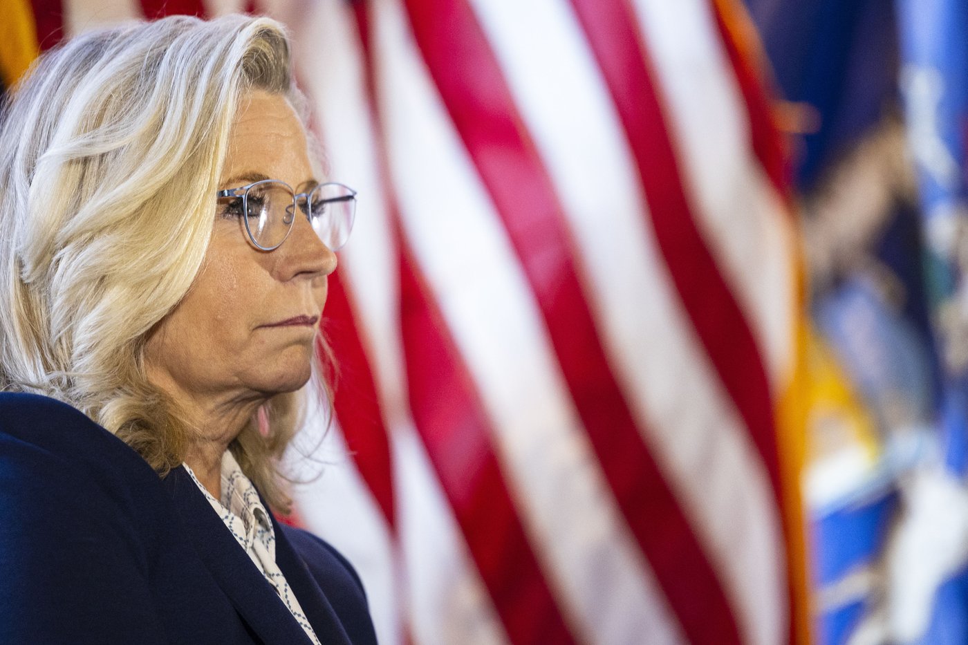 Harris assails Trump for saying Liz Cheney should have rifles 'shooting at her' | iNFOnews.ca