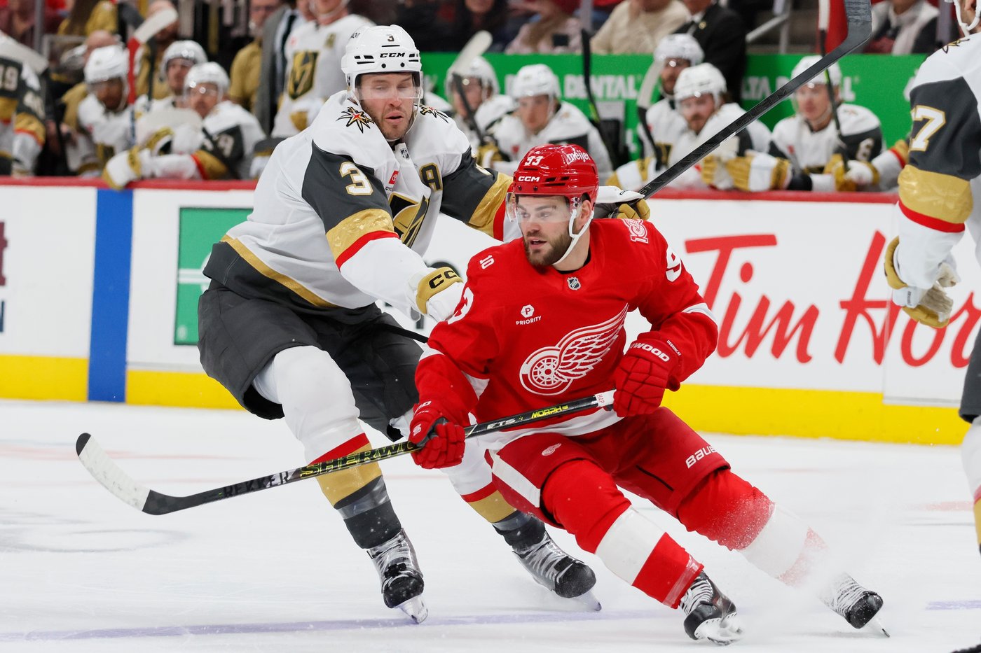 Hertl scores in OT to cap Vegas rally in 4-3 victory over Red Wings | iNFOnews.ca