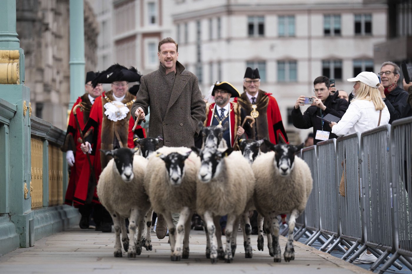 Damian Lewis herds sheep over a London bridge in homage to a medieval tradition | iNFOnews.ca