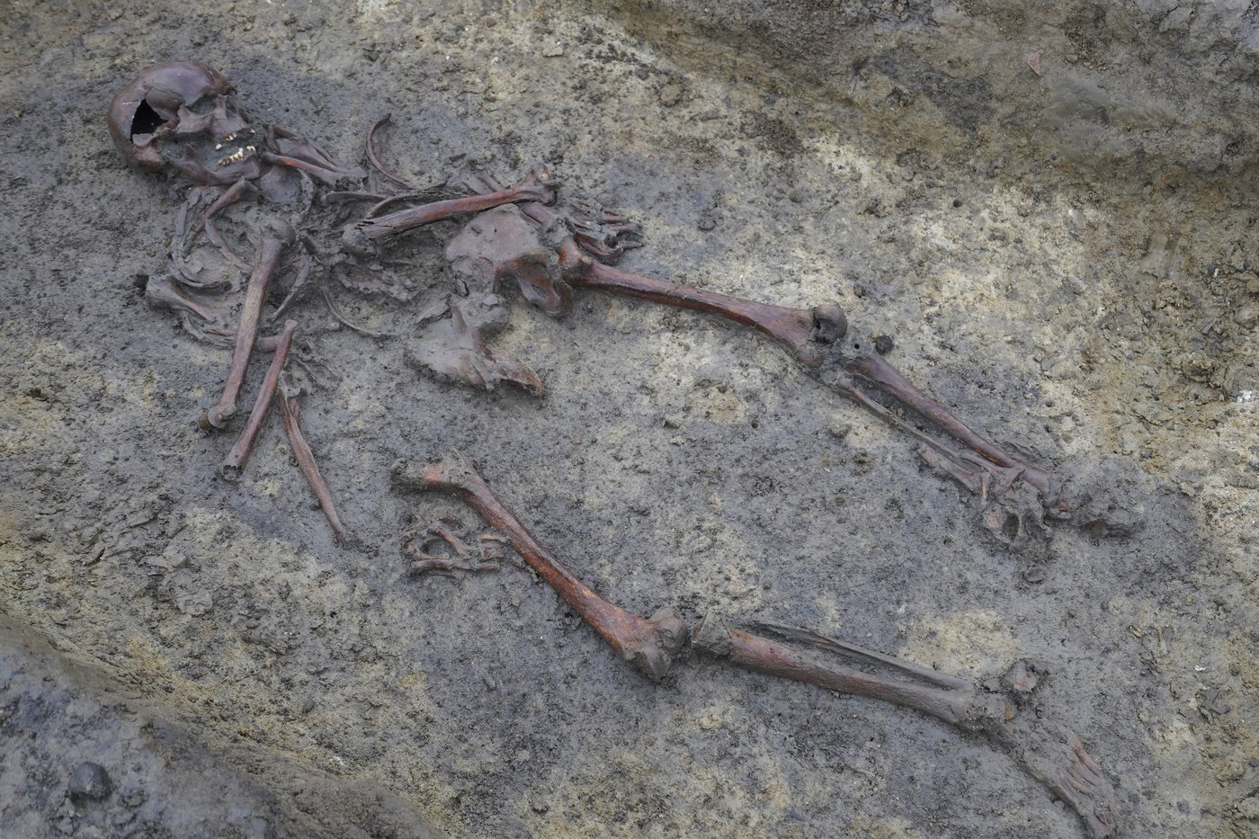 50 well-preserved Viking Age skeletons unearthed in Denmark | iNFOnews.ca