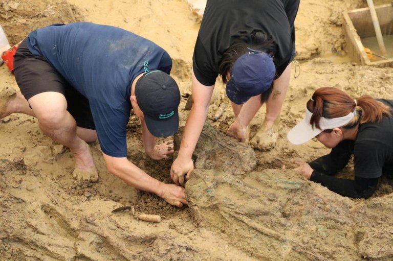Gold rings around 2,000 years old found during dig at Thailand archaeological site | iNFOnews.ca
