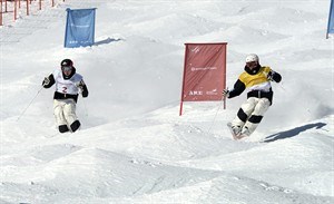 CP22503777