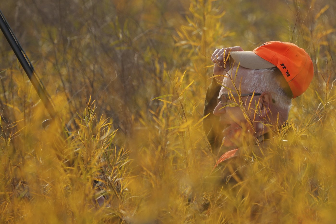 Walz tramps through tall grass but bags no birds as pheasant hunting season opens | iNFOnews.ca Walz tramps through tall grass but bags no birds as pheasant hunting season opens | iNFOnews.ca