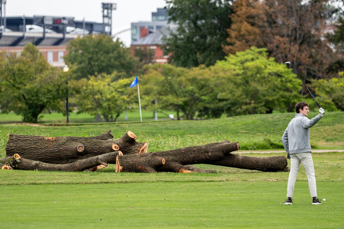 Park service could remove more than 500 trees at historic golf course Trump wants to redesign | iNFOnews.ca Park service could remove more than 500 trees at historic golf course Trump wants to redesign | iNFOnews.ca