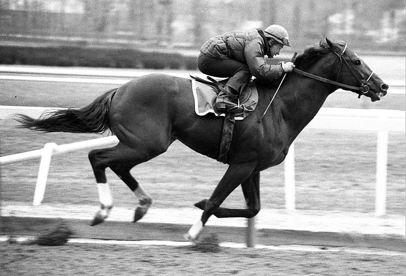 Ron Turcotte, who rode Secretariat to the 1973 Triple Crown, dead at 84 | iNFOnews.ca Ron Turcotte, who rode Secretariat to the 1973 Triple Crown, dead at 84 | iNFOnews.ca