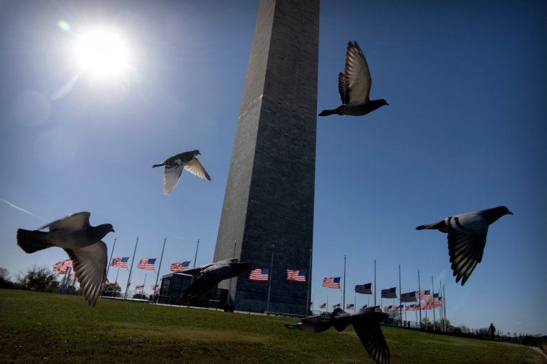 The top photos of the day by AP's photojournalists | iNFOnews.ca