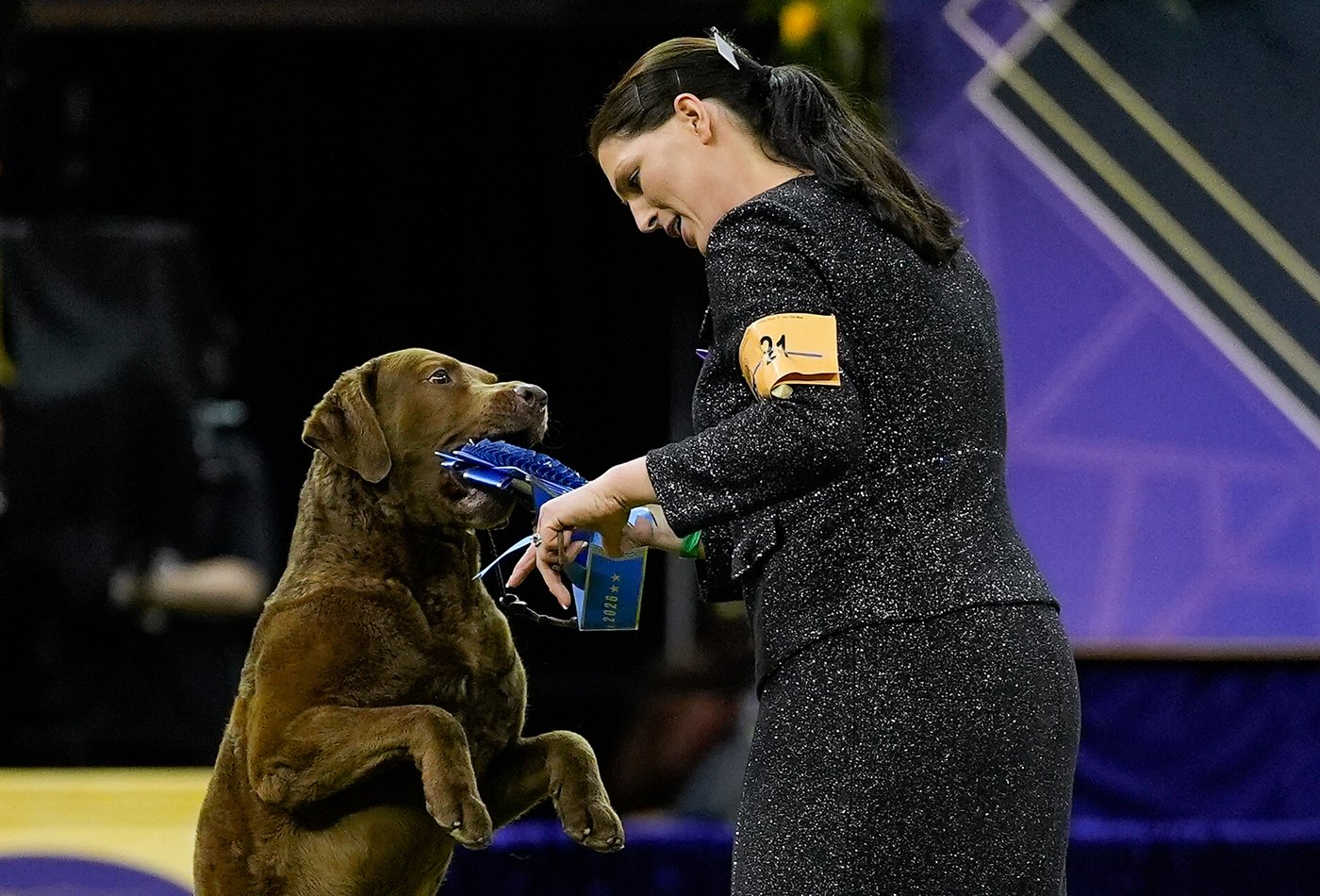 Photo Gallery: The Westminster dog show | iNFOnews.ca