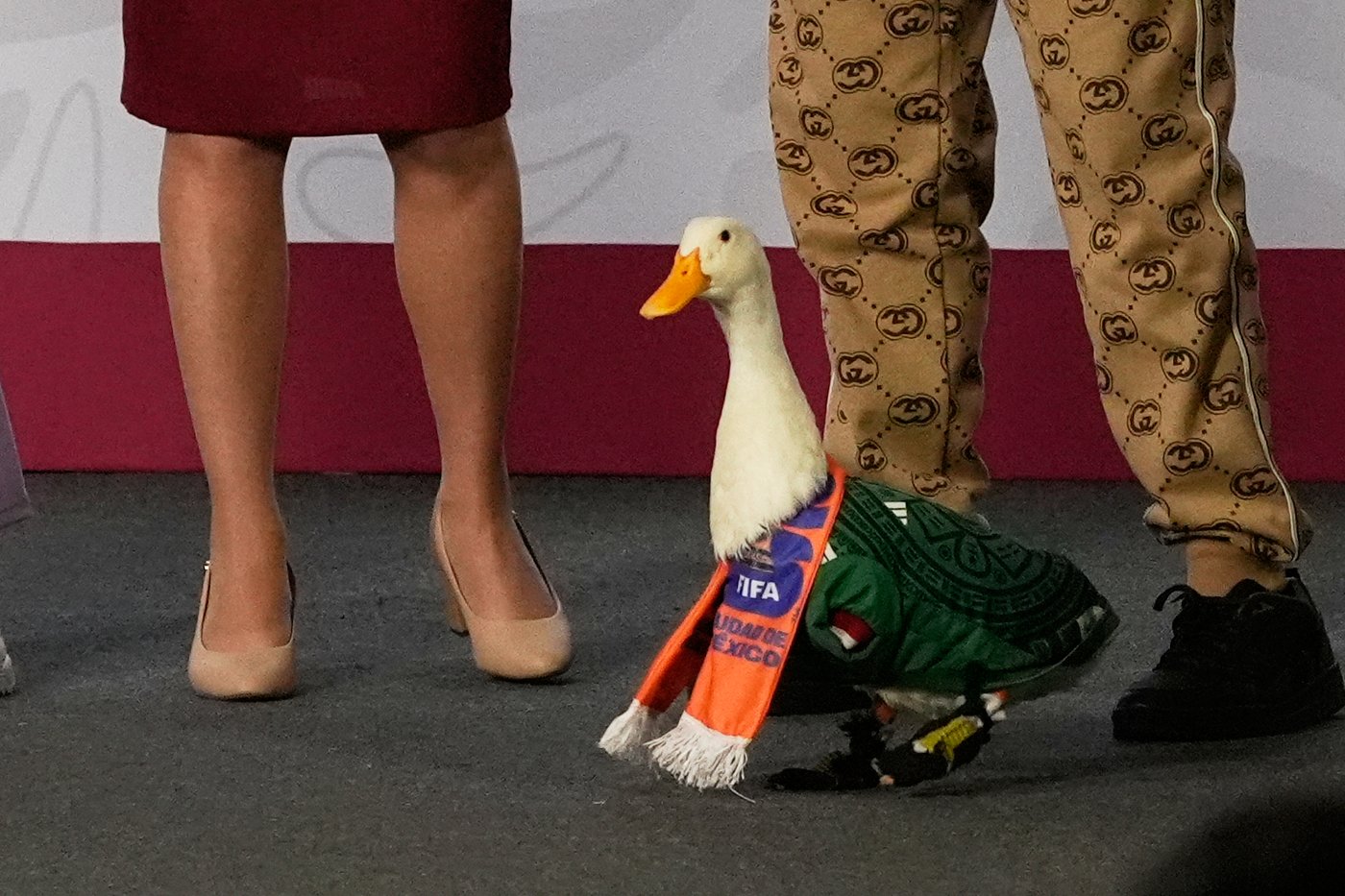 Merlín the duck takes a trip to the stadium, but FIFA rules keep him out of Mexico match | iNFOnews.ca