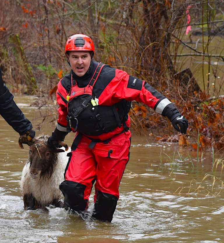 Vancouver Island rescuers helped people, sheep, dogs and cat after heavy rains | iNFOnews.ca