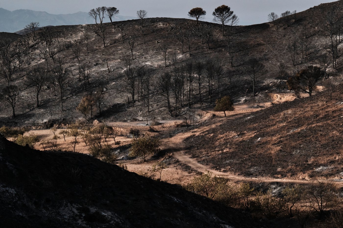 Hundreds of firefighters battle wildfire in southern Spain that killed at least 12 | iNFOnews.ca Hundreds of firefighters battle wildfire in southern Spain that killed at least 12 | iNFOnews.ca