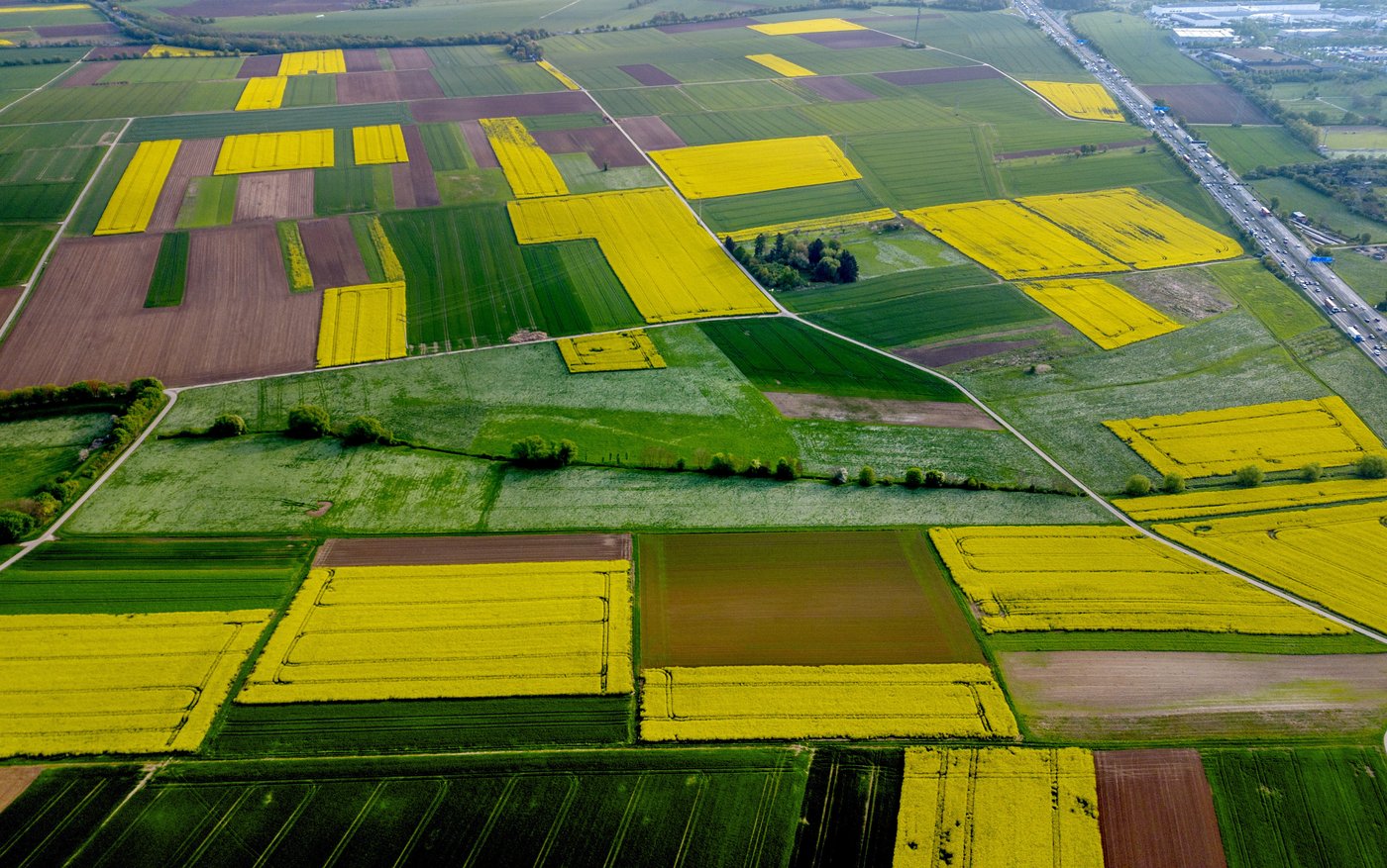 PHOTO COLLECTION: Climate Environment Germany Nature | iNFOnews.ca