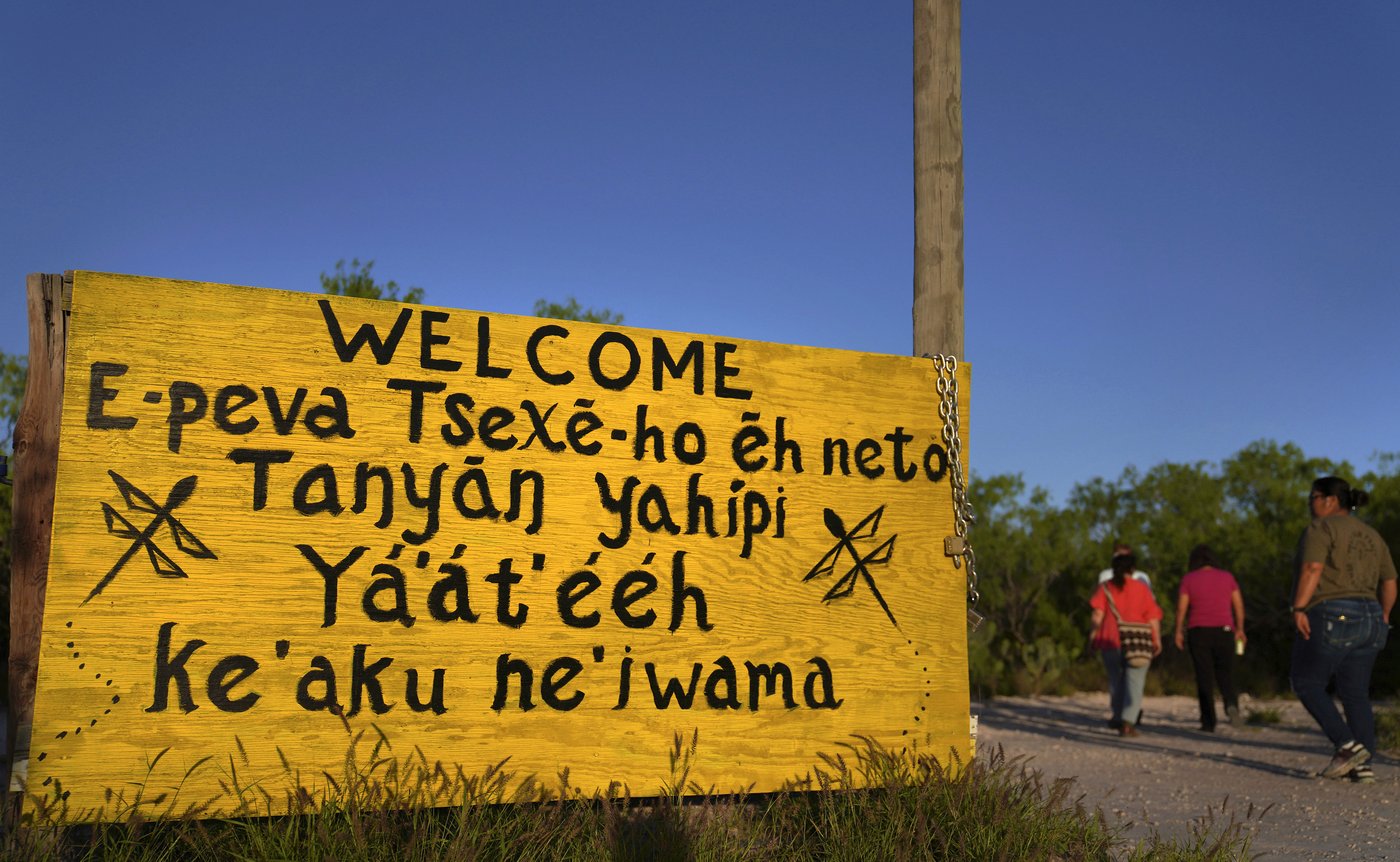 Peyote sacred to Native Americans threatened by psychedelic renaissance and development | iNFOnews.ca