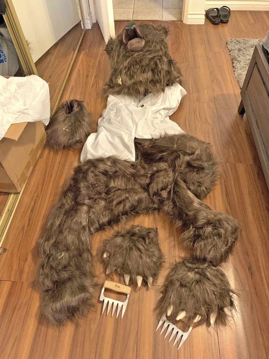 Insurers say bear that damaged luxury cars was actually a person in a costume | iNFOnews.ca Insurers say bear that damaged luxury cars was actually a person in a costume | iNFOnews.ca