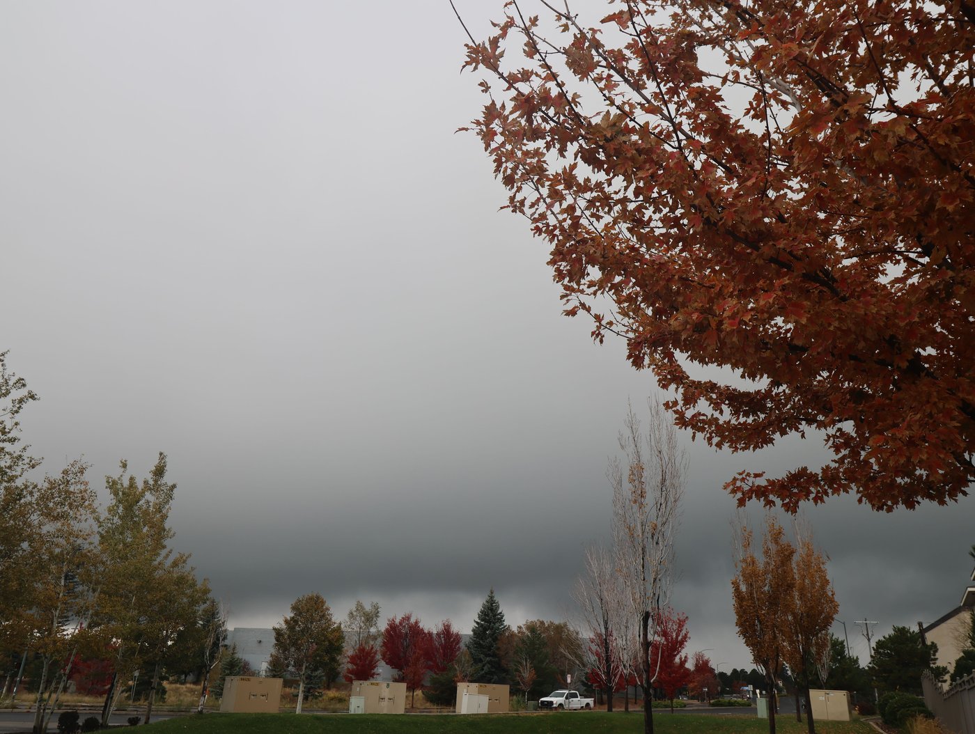 Violent Arizona storms bring possible tornado, toppled trees and golf ball-size hail | iNFOnews.ca Violent Arizona storms bring possible tornado, toppled trees and golf ball-size hail | iNFOnews.ca