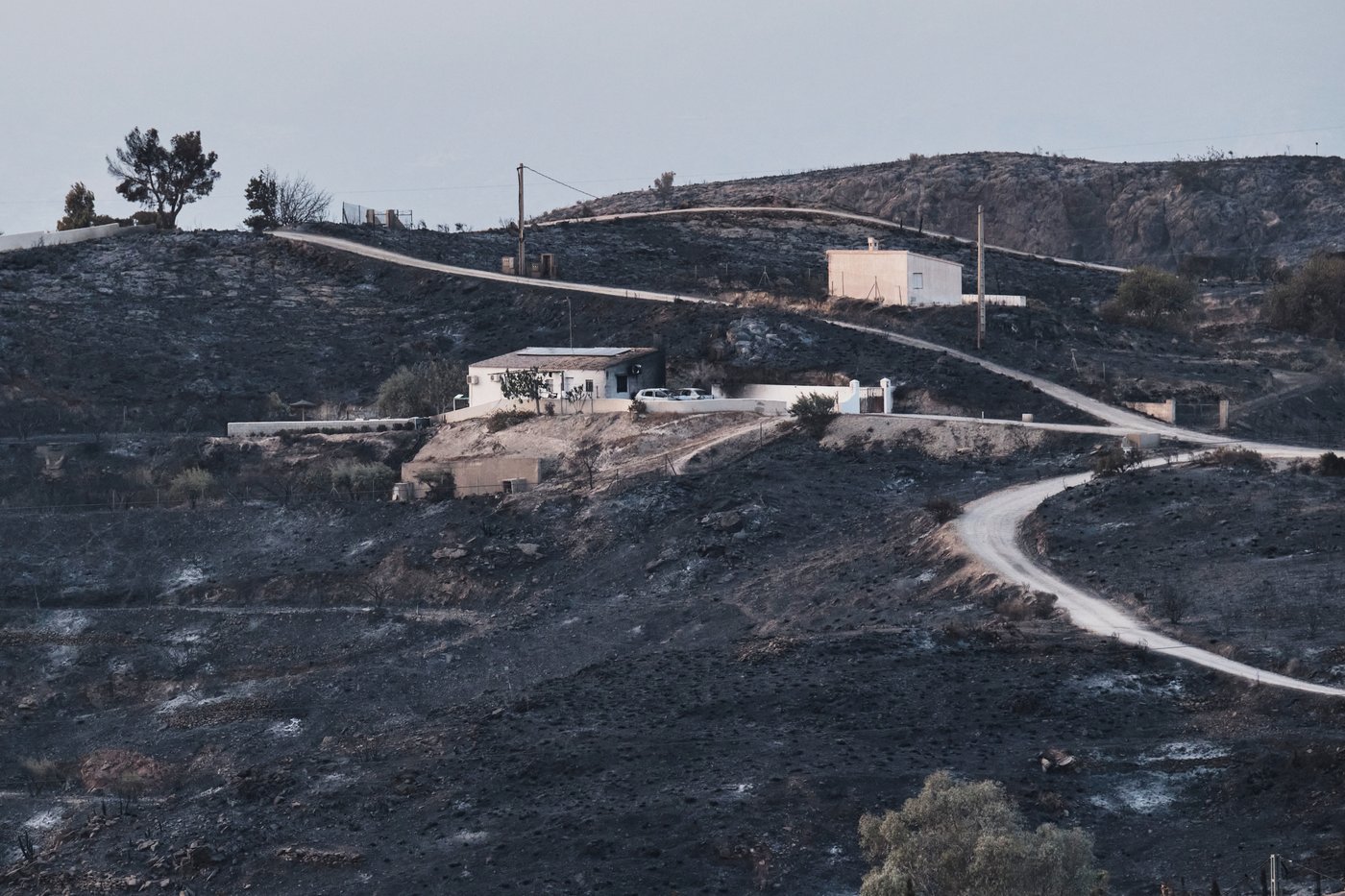 Hundreds of firefighters battle wildfire in southern Spain that killed at least 12 | iNFOnews.ca Hundreds of firefighters battle wildfire in southern Spain that killed at least 12 | iNFOnews.ca