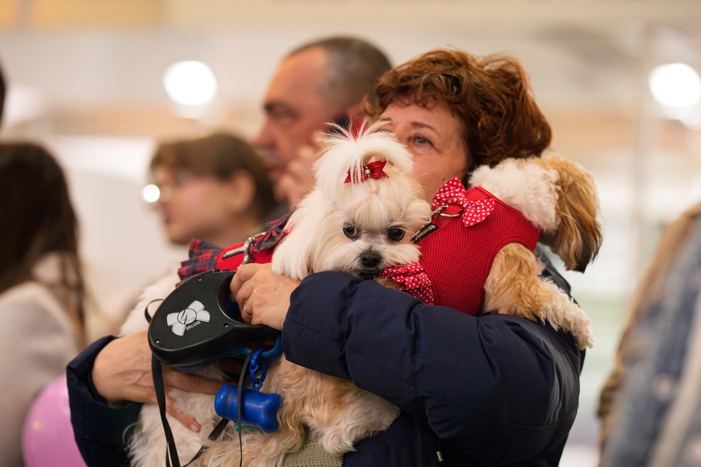 Photos of pets dressed up in costumes for Romania’s annual animal expo | iNFOnews.ca