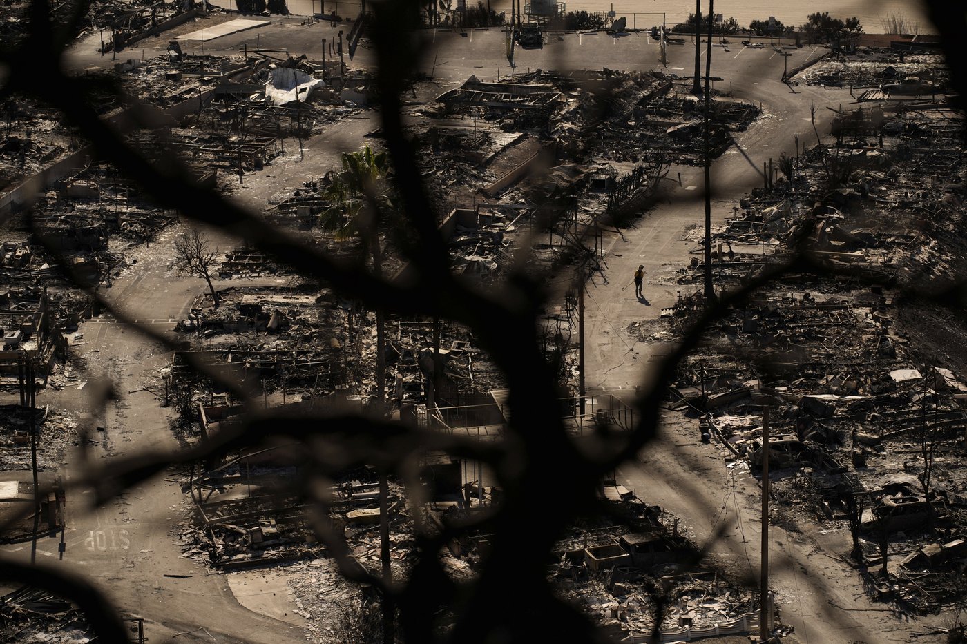 A documentary on wildfires raised tough questions in 2021. People may now be more inclined to listen | iNFOnews.ca A documentary on wildfires raised tough questions in 2021. People may now be more inclined to listen | iNFOnews.ca
