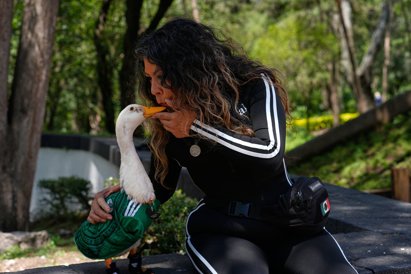 Meet Merlin the duck, a Mexico City streetside regular turned World Cup mascot | iNFOnews.ca