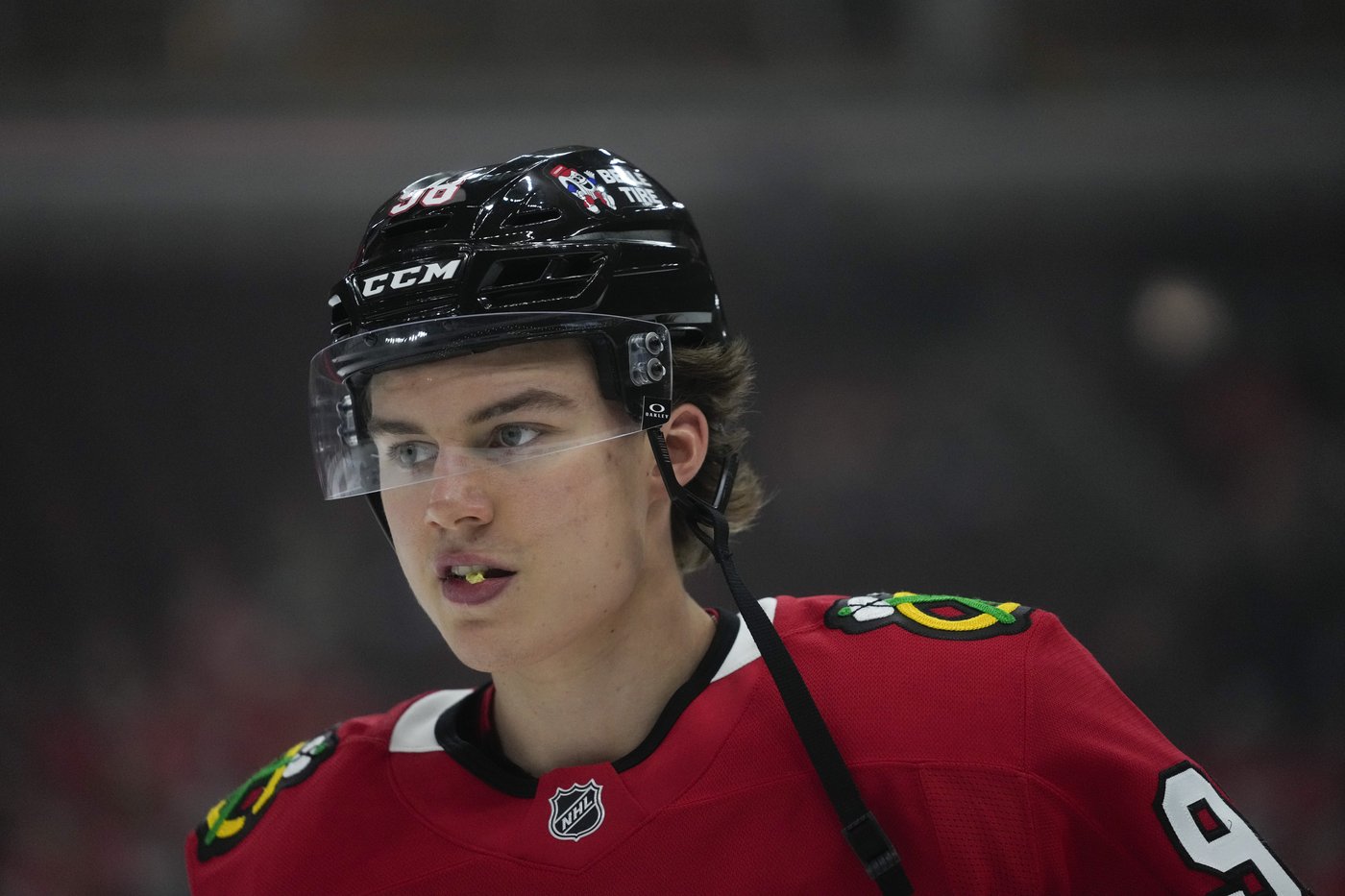 'Powerhouse' Central Division has 7 playoff contenders, from Dallas to Nashville | iNFOnews.ca 'Powerhouse' Central Division has 7 playoff contenders, from Dallas to Nashville | iNFOnews.ca