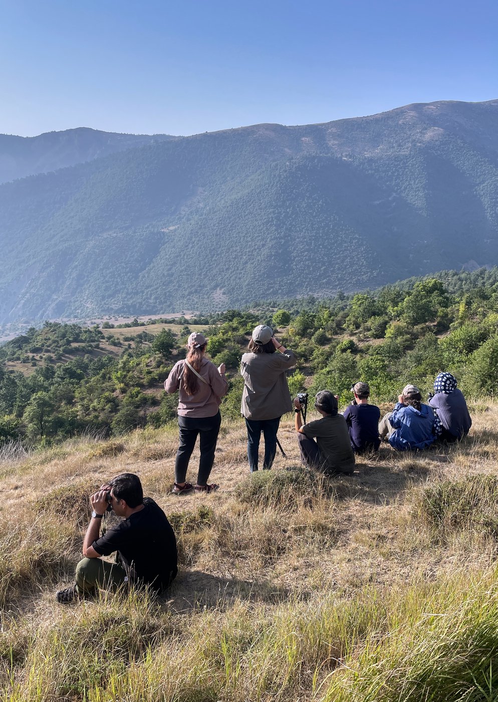 War and economic crisis complicate efforts to protect Iran’s rich but endangered wildlife | iNFOnews.ca
