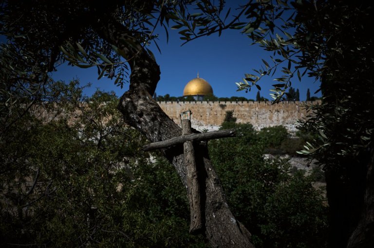 Photos show monks and nuns harvesting olives on the Holy Land’s Mount of Olives | iNFOnews.ca