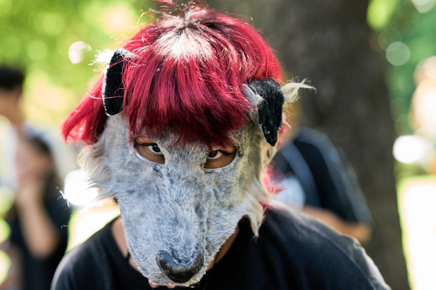 Viral phenomenon in Argentina has young people identifying themselves as animals | iNFOnews.ca Viral phenomenon in Argentina has young people identifying themselves as animals | iNFOnews.ca