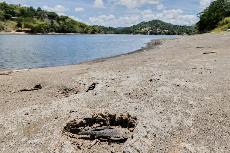 US declares drought disaster for parts of Puerto Rico as dry conditions persist | iNFOnews.ca