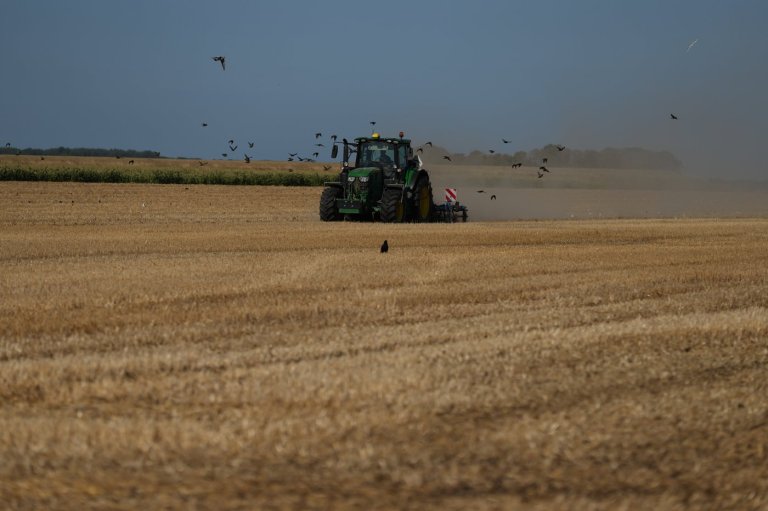 A punishing European drought shrivels crops from Dutch potatoes to Bosnian corn | iNFOnews.ca