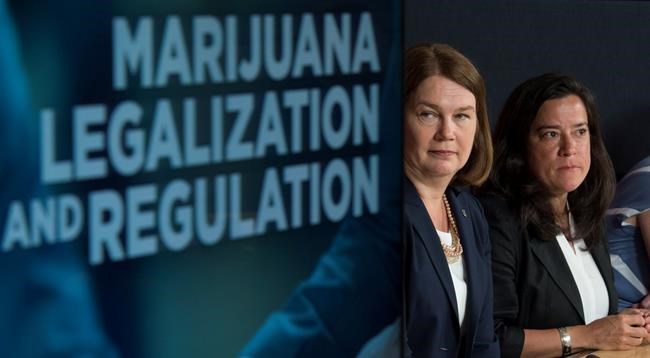 Trudeau government launches task force to study marijuana legalization | iNFOnews.ca