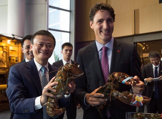 Alibaba's new online hub to help Canadian firms access huge Chinese market | iNFOnews.ca