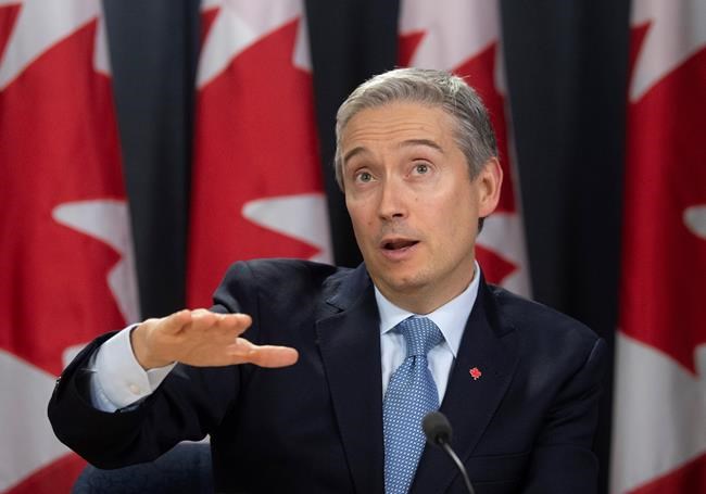 Canadians in Wuhan to be flown out Thursday: government letter | iNFOnews.ca